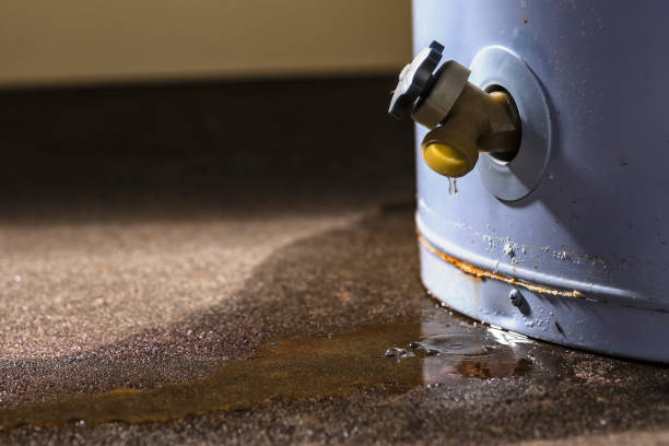 Best Carpet water damage restoration  in Hilton, NY