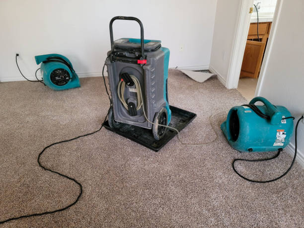 Best Commercial water damage restoration  in Hilton, NY