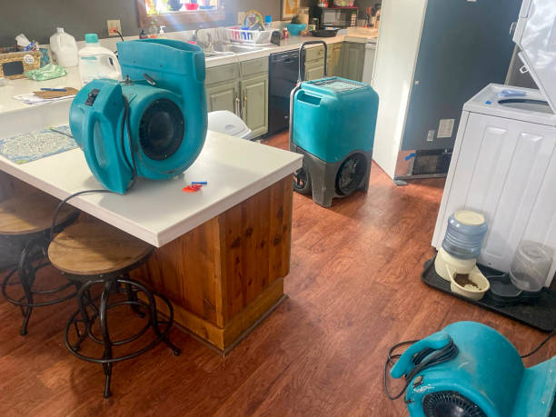 Best Water damage restoration process  in Hilton, NY