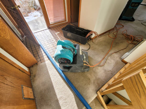 Best Flood damage cleanup  in Hilton, NY