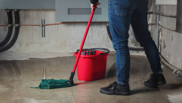 Best 24/7 water damage repair  in Hilton, NY