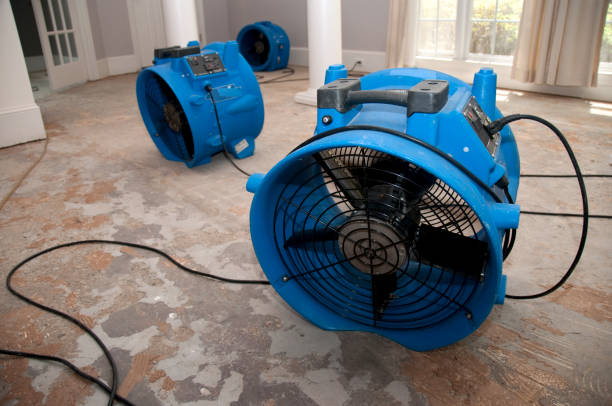  Hilton, NY Water damage restoration Pros