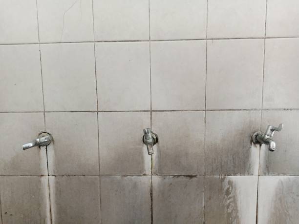 Best 24-hour water damage restoration  in Hilton, NY