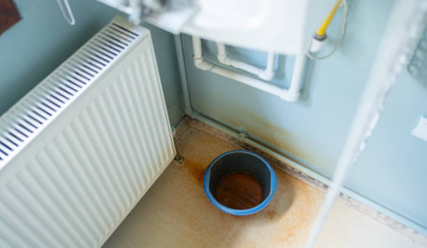 Best Water damage cleanup near me  in Hilton, NY