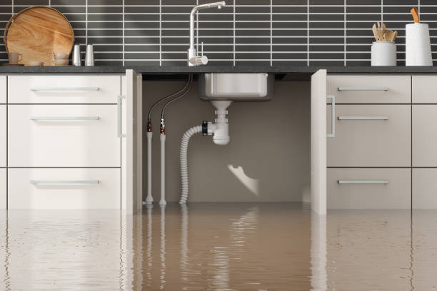 Best Fire Damage Restoration  in Hilton, NY