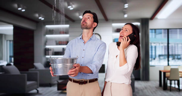 Best Flooded house restoration  in Hilton, NY