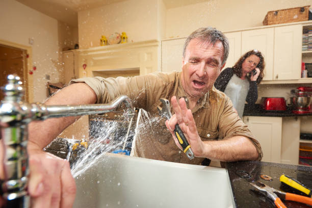 Best Professional water damage repair  in Hilton, NY